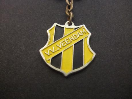 Voetbalvereniging Veendam Groningse voetbalclub Langeleegte